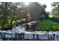 Looking downstream at the Eastern Cleddau which runs around the edge of Drim Wood