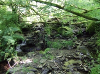 Coed Clynblewog - SOLD