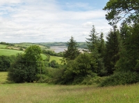 Coed Cwm Clyd photo 6