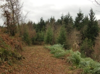 Coed  Cych photo 3