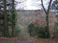 Coed  Cych photo 4