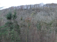 Coed  Cych photo 5