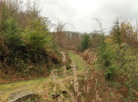 Coed  Cych photo 6