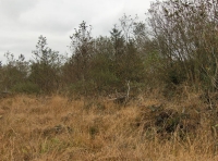 Coed Esgairgors - SOLD photo 4