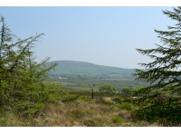 Coed Estiniog