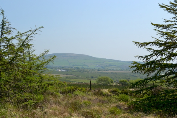 Coed Estiniog