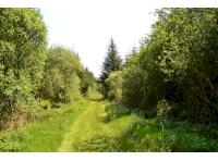 Afon Glan-rhyd,  forming Eastern boundary
