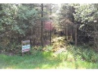 woodland entrance