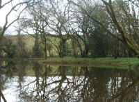 Coed Ffynonwen - SOLD