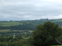 Coed Gelli Dawel - Quiet Grove Wood - SOLD photo 2