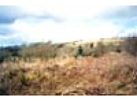 Coed-ger-y-llyn - SOLD photo 3