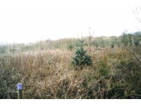 Coed-ger-y-llyn - SOLD photo 4