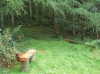 Coed Glas - SOLD photo 2