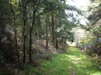 Coed Glas - SOLD photo 3