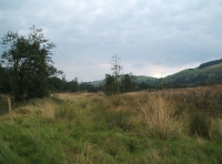 Coed Graig-y-Twrch