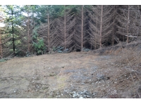 Large hardstanding camping/bbq area within the woods