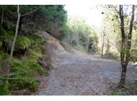 The end of the main track within the woodland, leading to a large turning/parking area