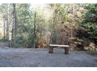 Seating area looking towards the eastern section of the woodland