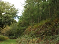 Coed Hebog - SOLD photo 3