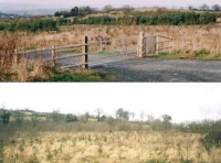 Coed Hirfain - Hirfain Wood