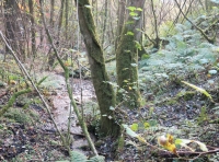 Coed Lloc - Enclosure Wood - SOLD