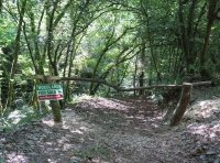 Coed Maedoc - SOLD