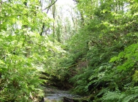 Coed Nant Cerrig - SOLD