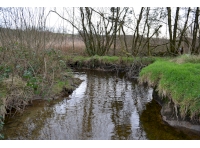 The River Twrch