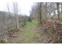 The private access into the woodland from the road