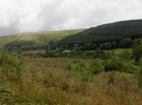 A 2008 summer view