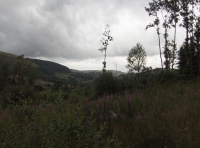 A 2008 summer view
