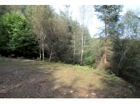 Camping and BBQ area created within the woodland