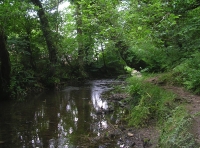 Pennard Pill river in summer