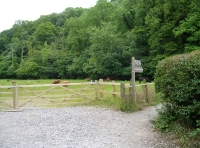 path from Parkmill leading to Coed Onnen