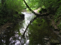 view down the Pennard Pill river