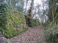 interesting old stone wall