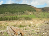 Coed Twrch - Twrch Wood - SOLD