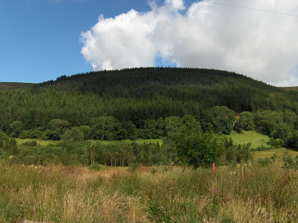 Coed Tyn-y-Corn