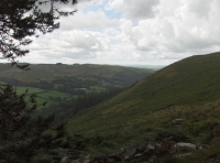 Coed Tyn-y-Corn photo 8