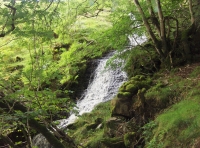 Coed Tyn-y-Corn photo 9