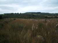 Coed Wernog - SOLD