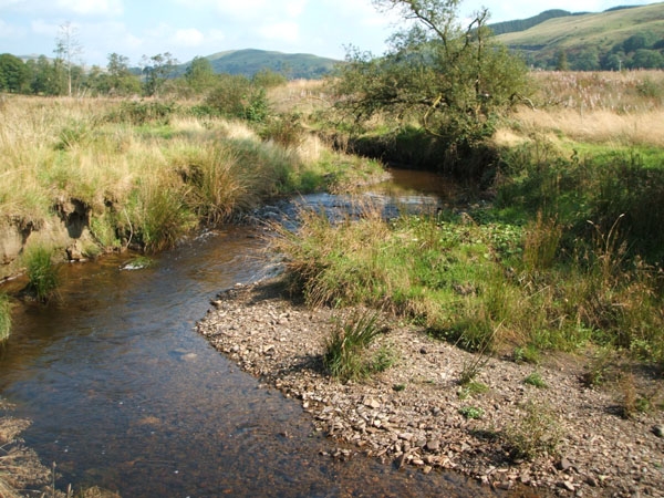 Coed-y-Afon - Wood Of The River - SOLD