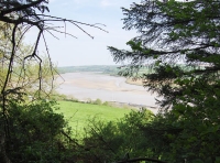 Coed y Morydau - Wood of the estuary photo 8
