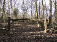 Didley Wood