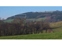 Dukes Wood - SOLD
