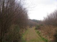 The western boundary