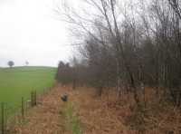 The eastern boundary