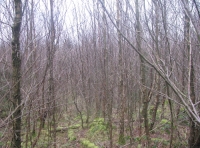 Towards the southern boundary