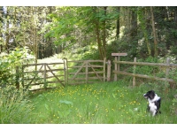 Ferry Farm Wood