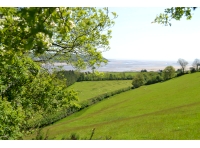 Ferry Farm Wood